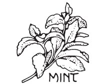MINT.EPS