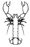 LOBSTER.EPS