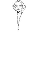 PEARLS.EPS
