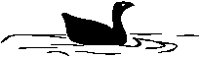 GOOSE.EPS
