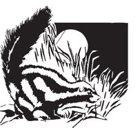 SKUNK01.EPS