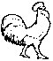 ROOSTER.EPS