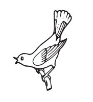 ROBIN.EPS