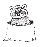 RACCOON.EPS