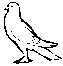 PIGEON.EPS