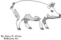 PIG.EPS