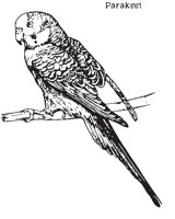 PARKEET3.EPS