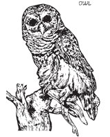 OWL4.EPS