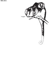 OPOSSUM.EPS