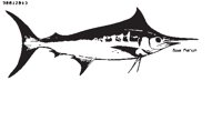 MARLIN2.EPS
