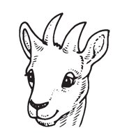 KIDGOAT.EPS