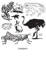 JUMPERS.EPS