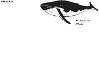 HUMPBACK.EPS