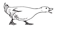 GOOSE.EPS