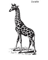 GIRAFFE1.EPS