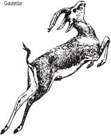 GAZELLE.EPS