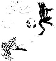 FROGS.EPS