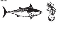 FISH101.EPS