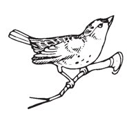 FINCH.EPS