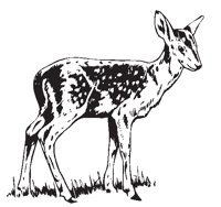 DEER02.EPS