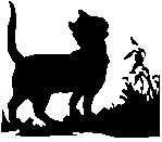 CAT_UP.EPS