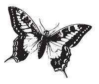 BUTTRFLY.EPS