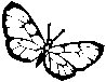 BUTRFLY4.EPS