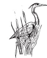 BLUHERON.EPS