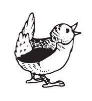 BIRDY.EPS