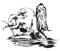 BEAVER01.EPS