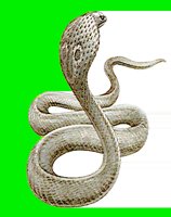 R09.LBM