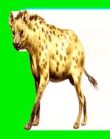 M148.LBM