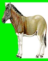 M097.LBM