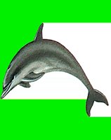 M046.LBM