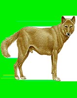 M045.LBM