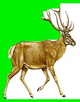 M040.LBM
