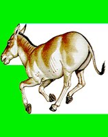 M013.LBM
