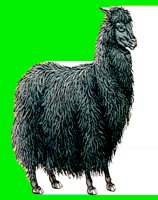 M003.LBM