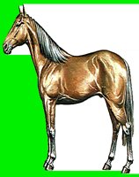 H16.LBM