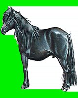 H14.LBM