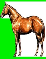 H13.LBM