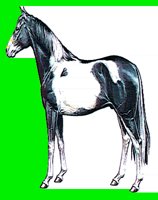 H12.LBM