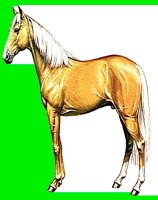 H10.LBM