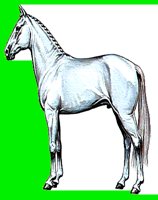 H07.LBM
