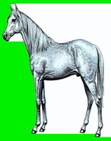 H03.LBM