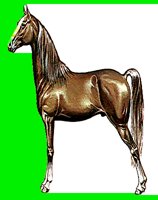 H01.LBM