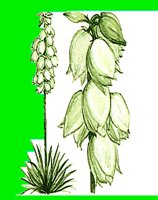 FL132.LBM