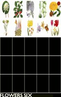 A_PREVIEW.LBM