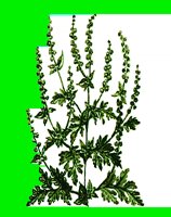 FL105.LBM