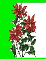 FL097.LBM